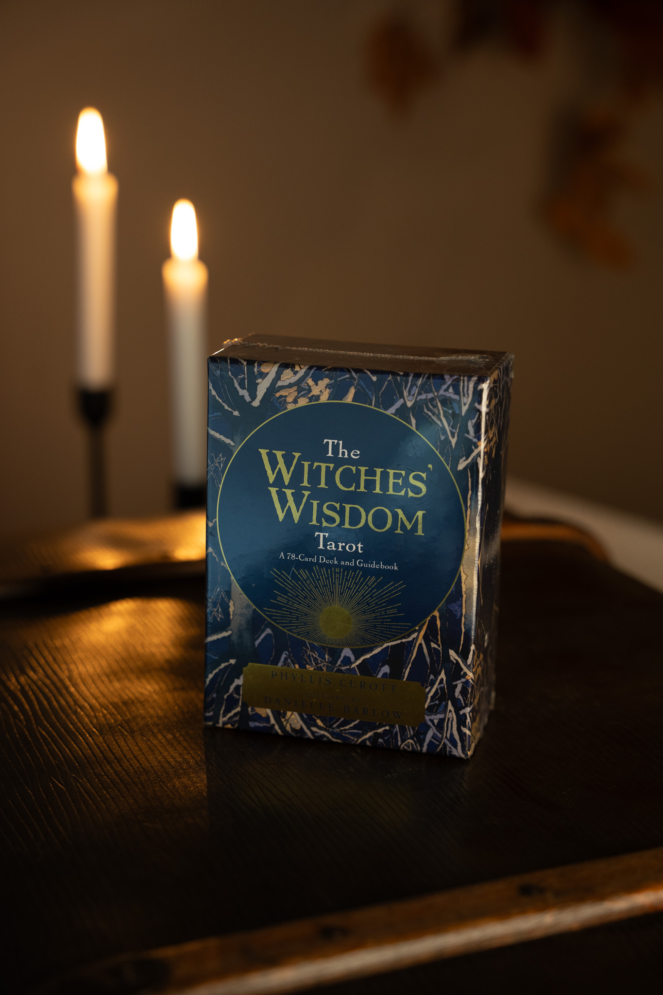 The Witches' Wisdom Tarot (Standaard Editie)